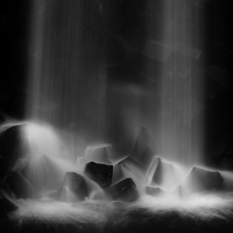 010 Delicate by Michel Rajkovic